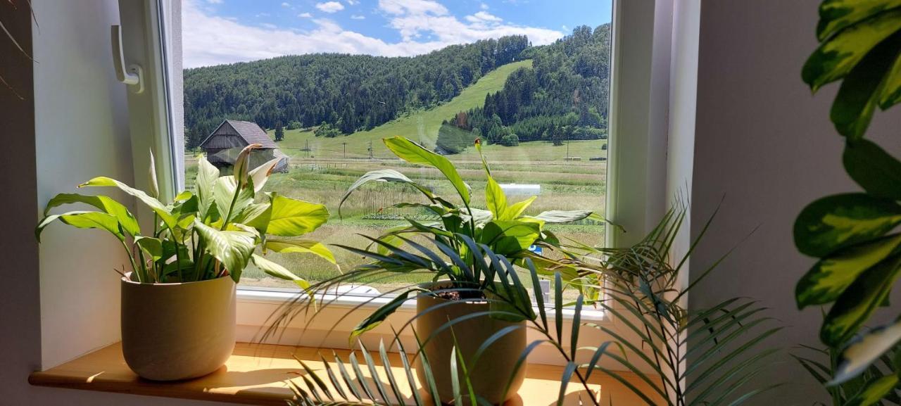 Prenocisca Miklavcic Otel Nova Vas  Dış mekan fotoğraf