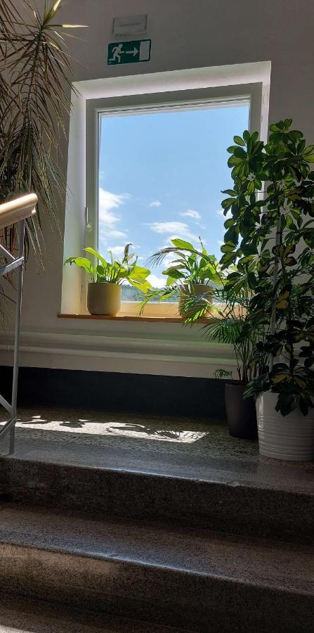 Prenocisca Miklavcic Otel Nova Vas  Dış mekan fotoğraf